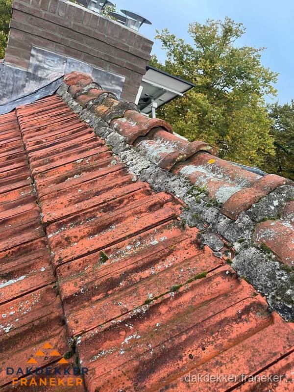 Verweerd hellend dak met mosgroei op nokvorst in Franeker