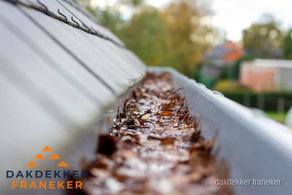 Verstopte dakgoot met bladeren schoonmaken in Franeker Verstopte dakgoot met bladeren schoonmaken in Franeker