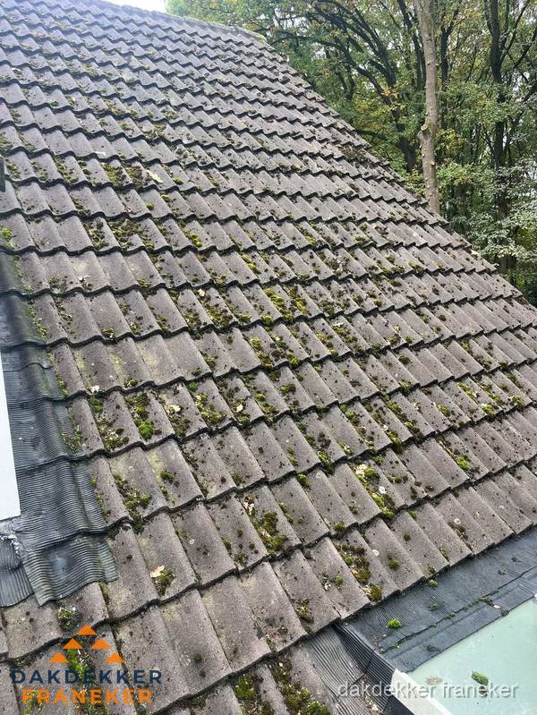 Verweerd pannendak met mosgroei dat renovatie nodig heeft in Franeker Verweerd pannendak met mosgroei dat renovatie nodig heeft in Franeker